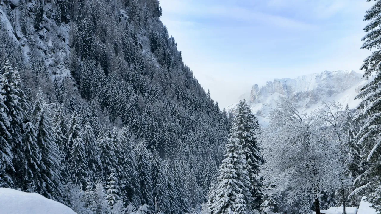 Wyjazd na narty do Moena we Włoszech